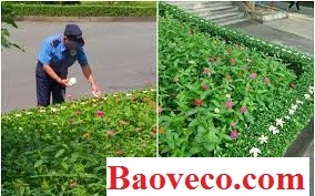 bac bao ve gay bao mang xa hoi ben hang hoa su cua truong