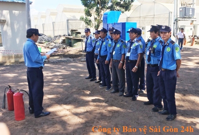 bao gia bao ve tai tra vinh