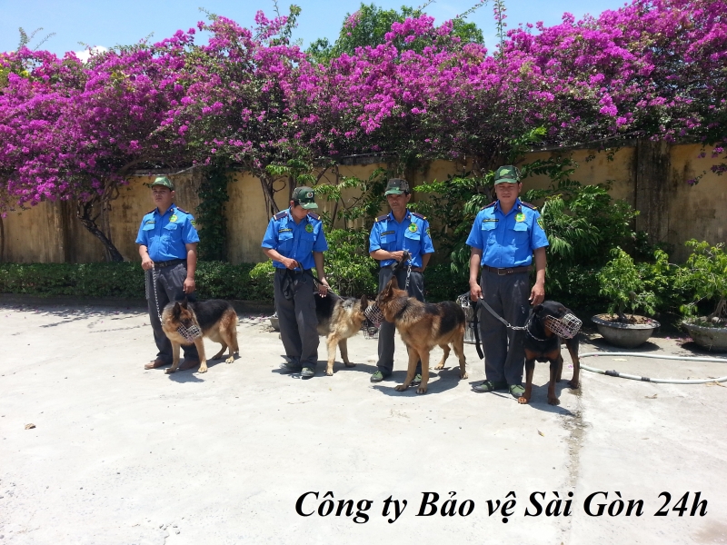 bao gia dich vu bao ve tai ben cat   binh duong
