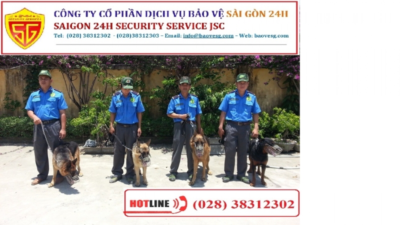 bao gia dich vu bao ve tai phuong thong tay hoi thanh pho ho chi minh