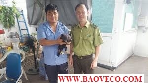 nhan vien bao ve truong hoc trao tra  dieu hau  quy hiem