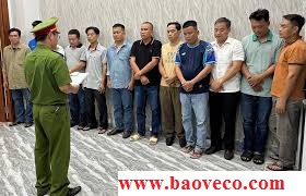 doi truong bao ve va dong bon o khu cong nghe cao bi bat giu