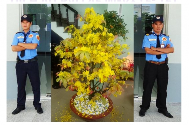 dich vu bao ve khach san tai quan 1